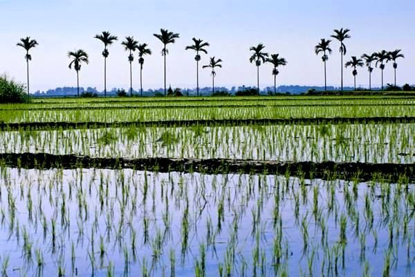 中国游戏产业加速国际化，推动民族文化战略发展